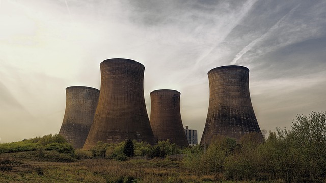 The Nuclear Energy Renaissance: