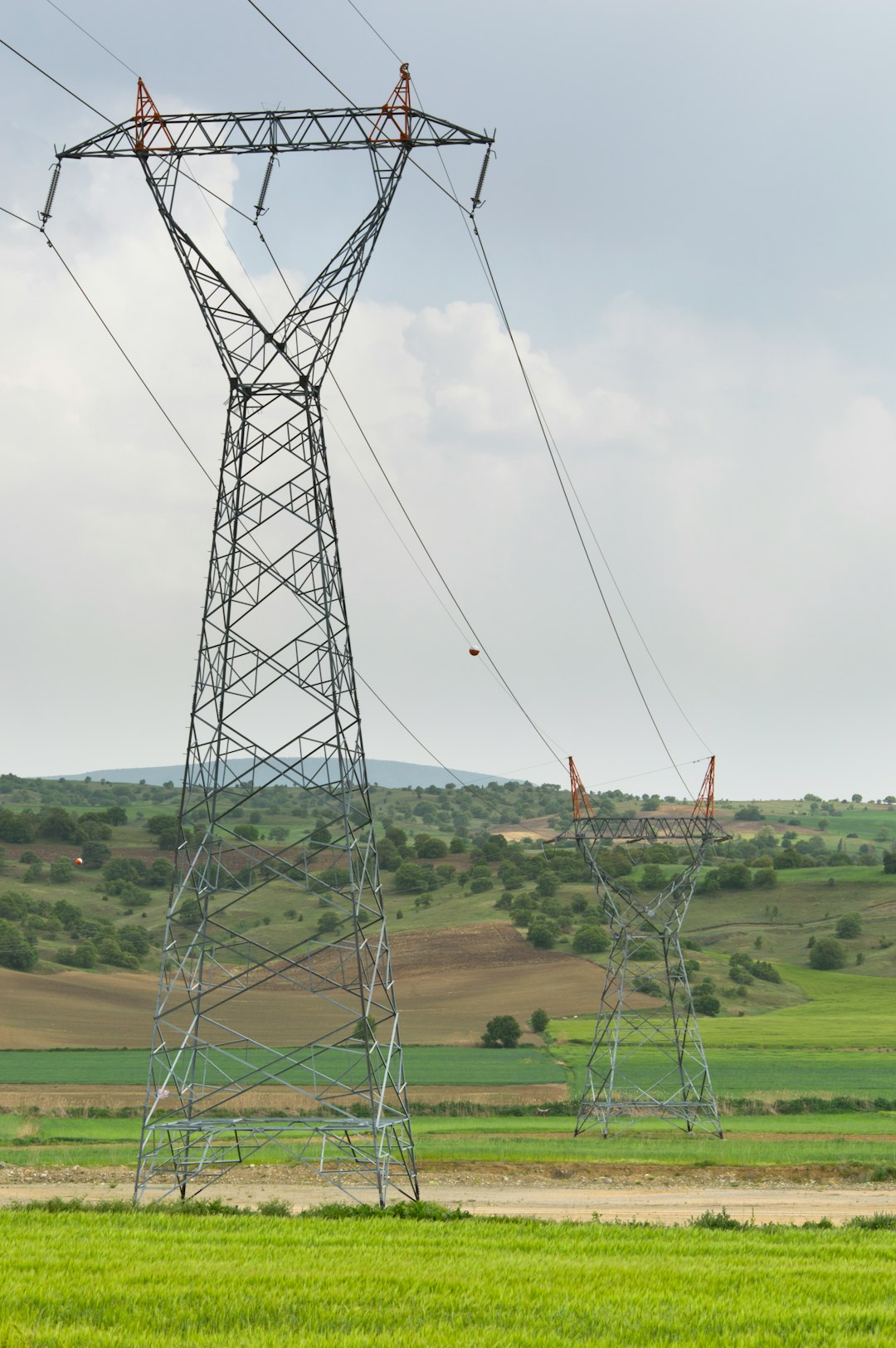 The Ultimate Guide to